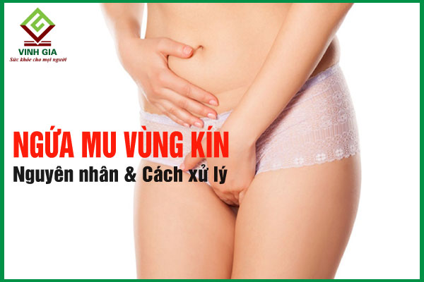 Cách làm sạch và chăm sóc vùng kín để tránh ngứa lông mu.
