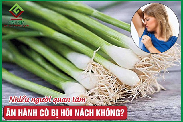 6. Các Lời Khuyên Hữu Ích Để Kiểm Soát Mùi Cơ Thể