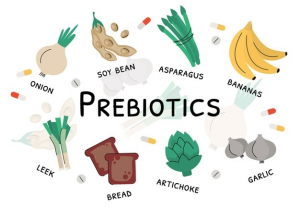 Prebiotic là gì? Vai trò của prebiotic đối với hệ tiêu hóa