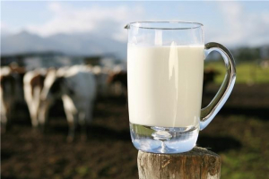 Mách mẹ loại sữa non Colostrum của Úc tốt nhất - Cách sử dụng và giá bán hiện nay