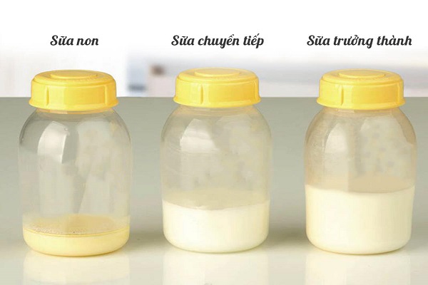 Hoạt chất colostrum là gì? Tác dụng của sữa non