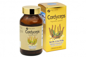 Đông trùng hạ thảo Fine Cordyceps được dùng phổ biến