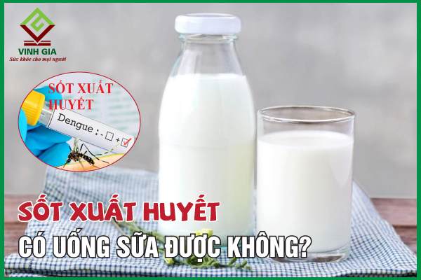 Có nên uống sữa tươi hay sữa hạt trong trường hợp sốt xuất huyết?
