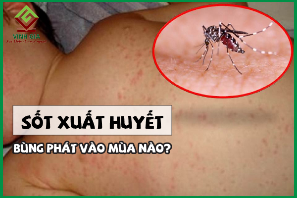 Chia sẻ bệnh sốt xuất huyết xảy ra vào mùa nào và cách phòng tránh hiệu quả