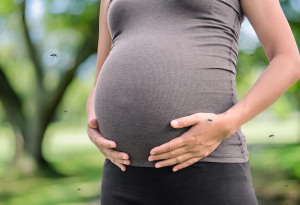Sốt xuất huyết gây nhiều biến chứng nguy hiểm cho phụ nữ có thai
