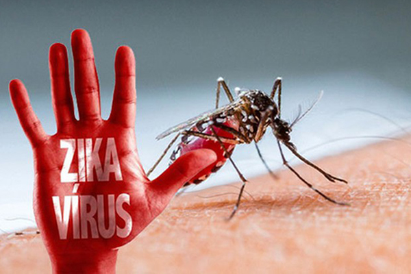 Tìm hiểu cách để phân biệt sốt xuất huyết và virus zika