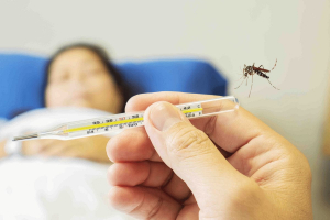 Kết hợp sử dụng sản phẩm hỗ trợ để bệnh sốt xuất huyết ở người lớn thuyên giảm nhanh chóng Kết hợp sử dụng sản phẩm hỗ trợ để bệnh sốt xuất huyết ở người lớn thuyên giảm nhanh chóng