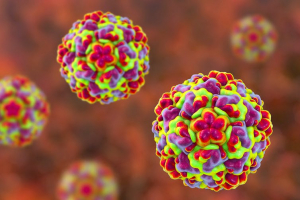 Rhinovirus là gì, phòng ngừa và điều trị như thế nào?