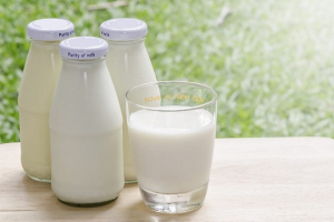 Uống sữa có thực sự gây loãng xương không?