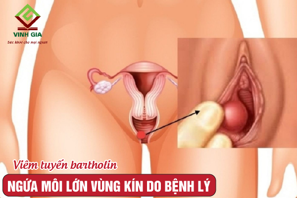 Khi nào cần đi khám bác sĩ?