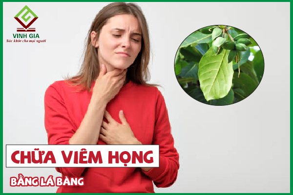 Lá bàng có tác dụng gì trong việc chữa viêm họng?
