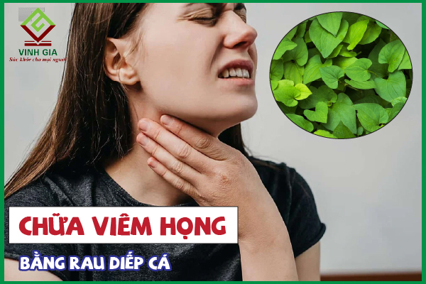 Rau diếp cá có tác dụng gì trong việc trị viêm họng?
