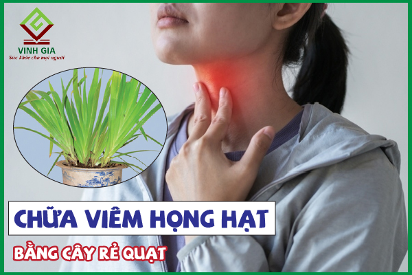 Cây xạ can có thể được trồng ở những vùng địa lý nào?
