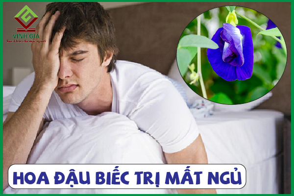 Hoa đậu biếc có công dụng gì trong việc trị mất ngủ?
