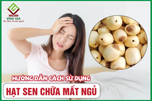 Làm thế nào ăn hạt sen có thể giảm căng thẳng và tạo một trạng thái an ninh trước khi ngủ?
