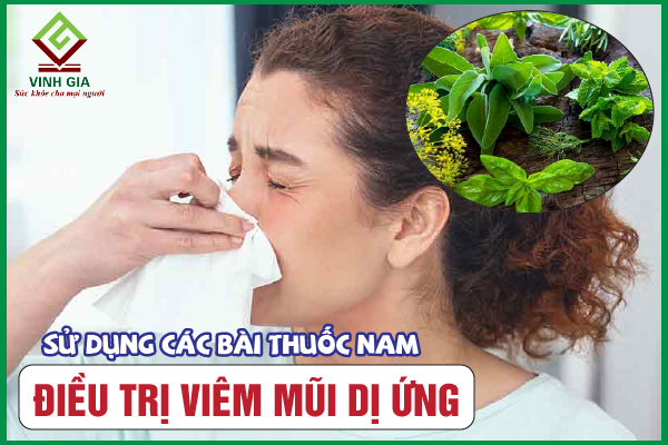 Có hiệu quả kháng histamine tự nhiên của thuốc trị viêm mũi dị ứng thảo dược?
